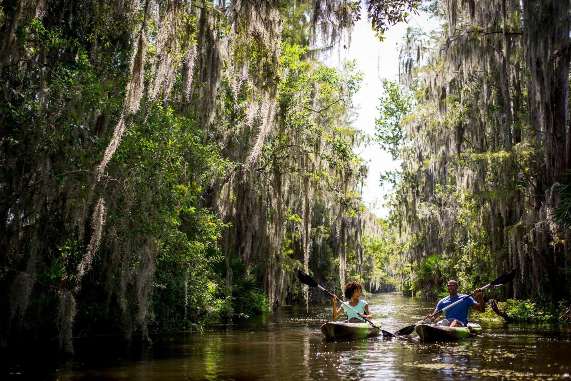 The Ritz-Carlton Orlando, Grande Lakes Williamsburg Eksteriør billede